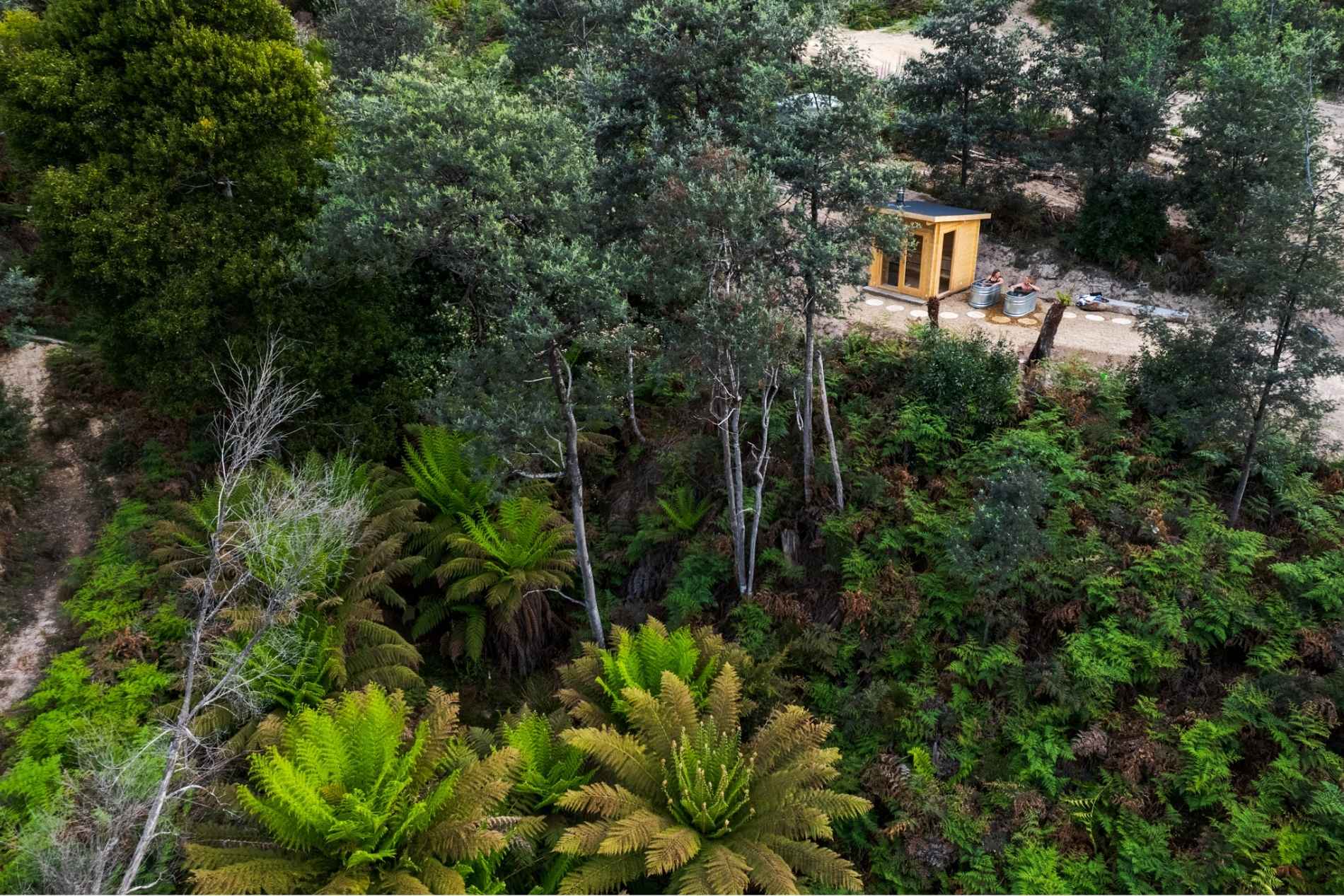 Sauna and cold plunge in amongst rainforest at maydena bike park