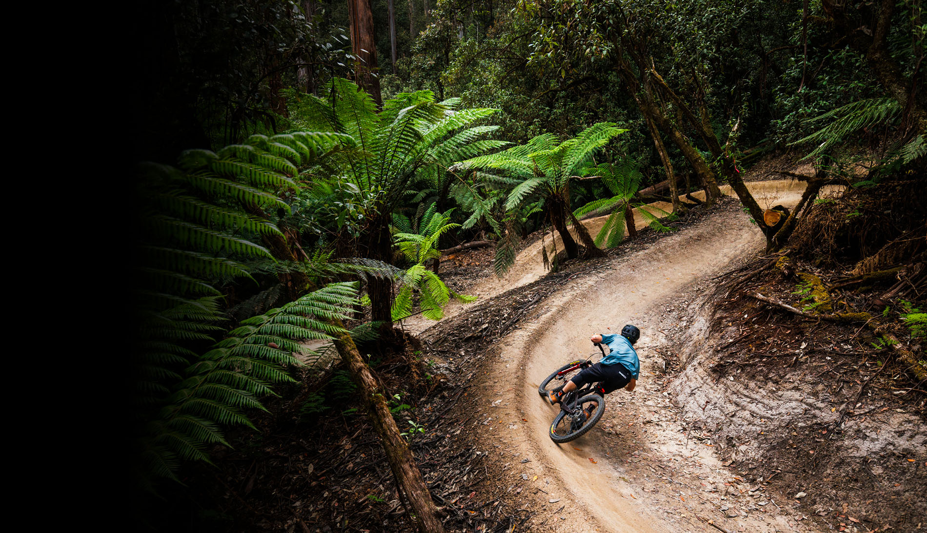 Enduro Mountain Bike rider riding a berm on a flow trail amongst dense ferns in Australia - Maydena Bike Park